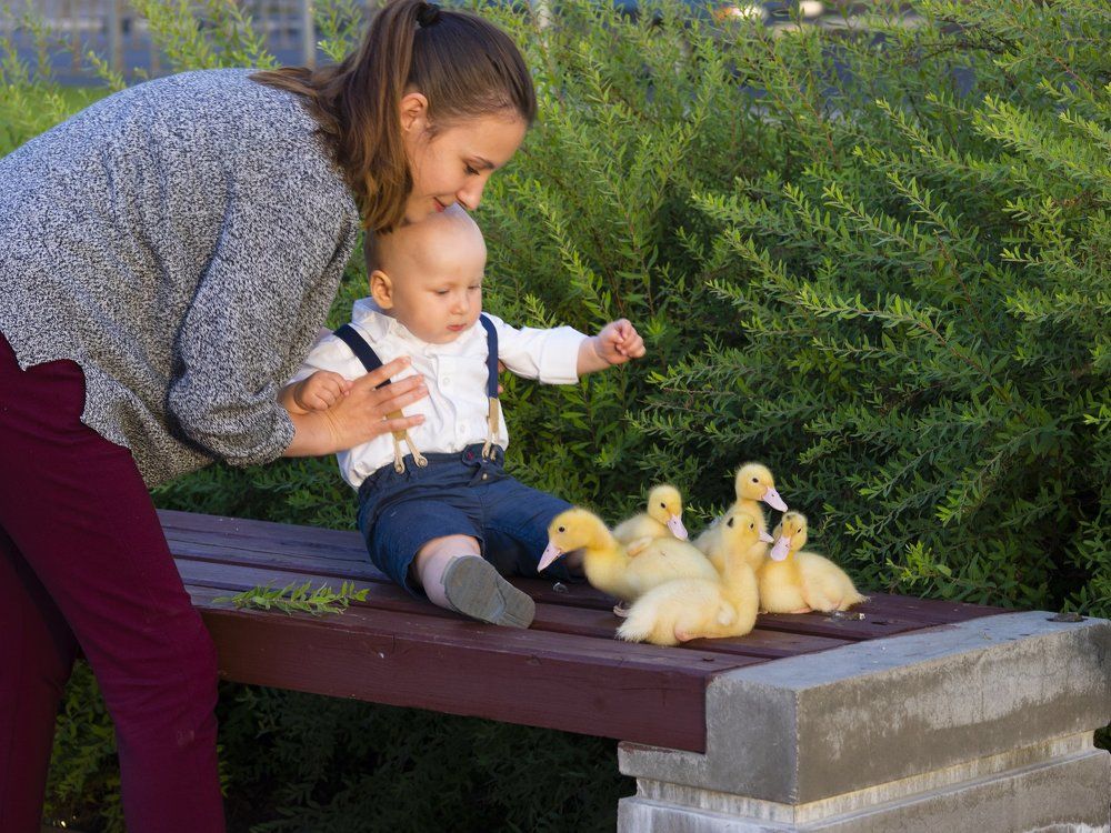 The beginning of life