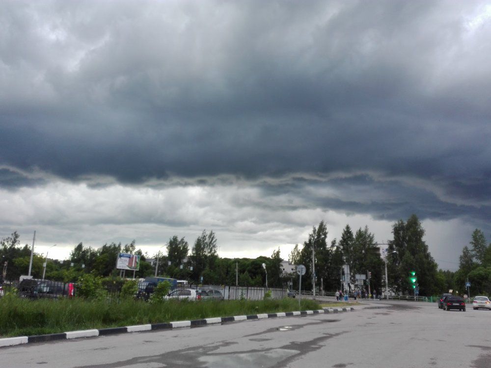 Перед грозой