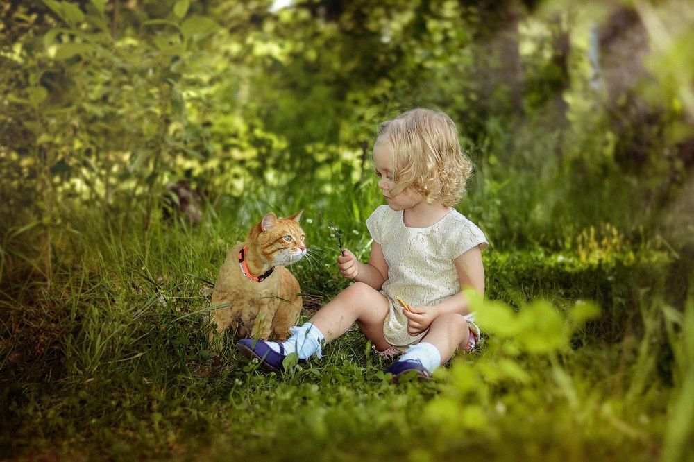 Photograph by татьяна занкевич