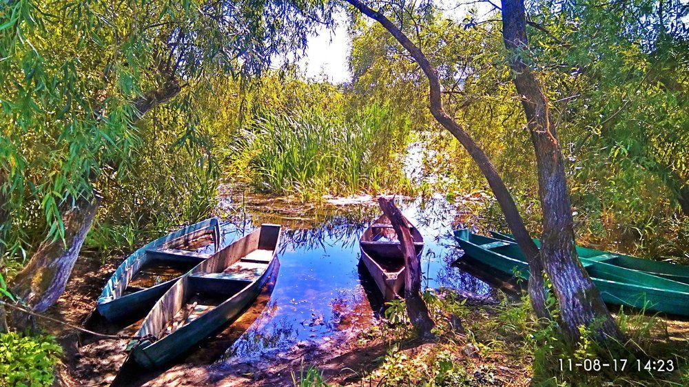 Река. Лодки
