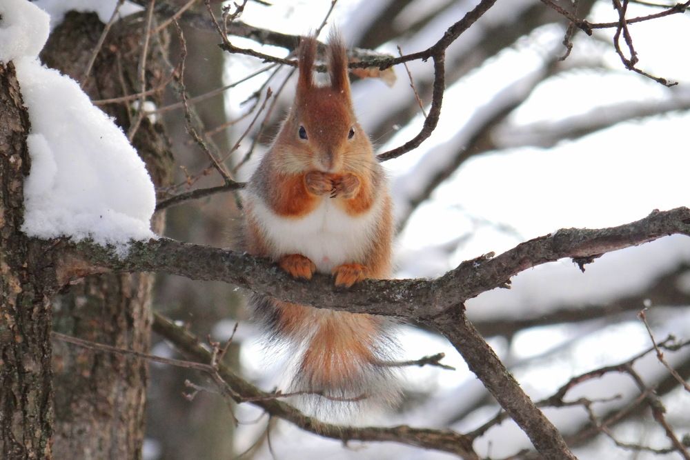А кушать хочется всегда!