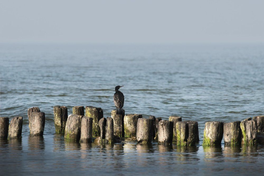 Photograph by яна