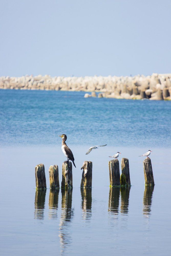 Photograph by яна