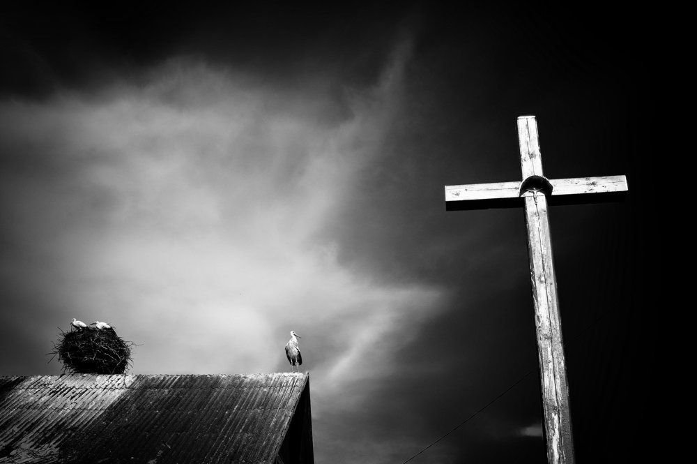 Photograph by Дмитрий Демко