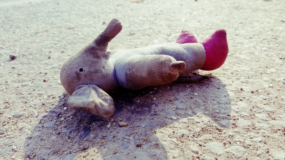 Roadside Toy Story