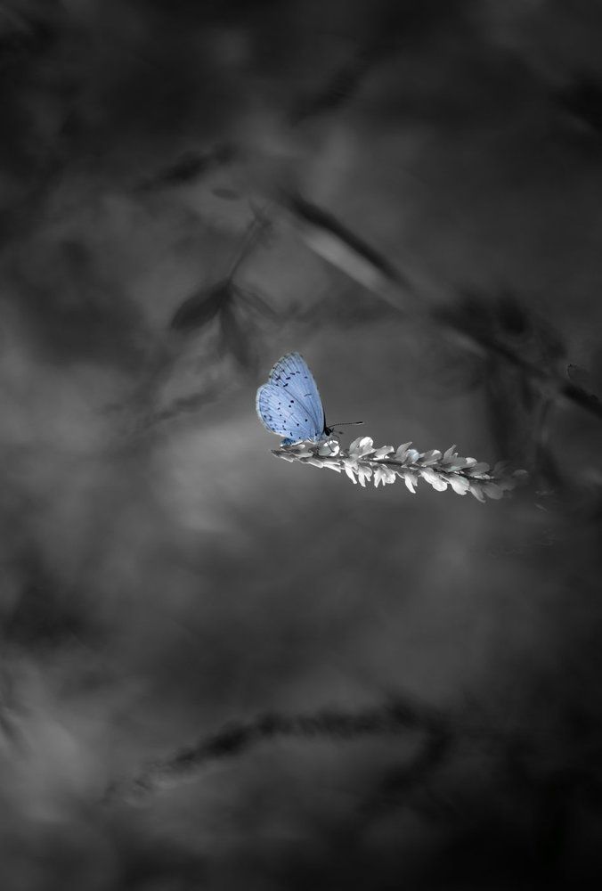 A Little Bit Of Blue