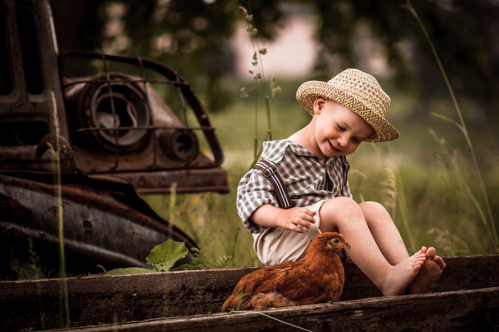 Ручная курица-лучший друг)