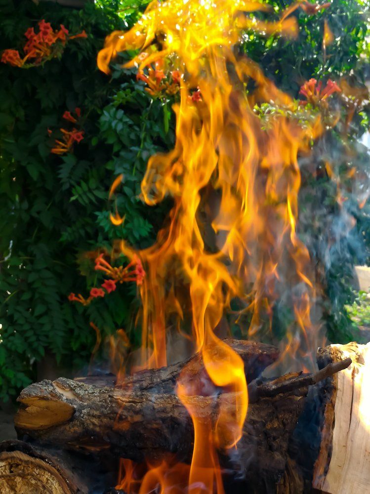 Живой огонь