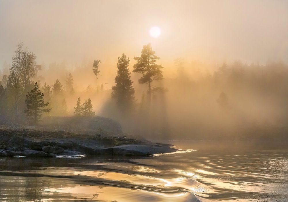 Туманный бархат солнца