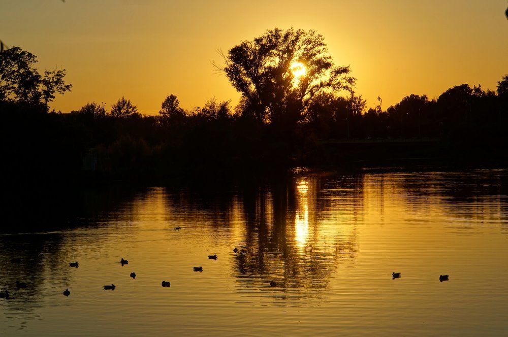 The sunset  in  park