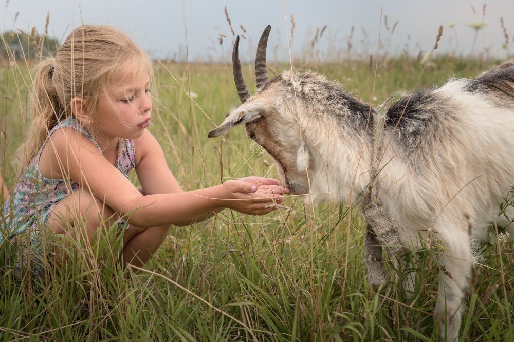 Деревенское дество-1