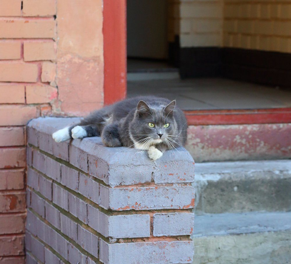 Photograph by 