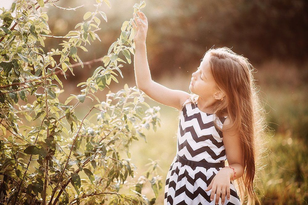 Летняя прогулка