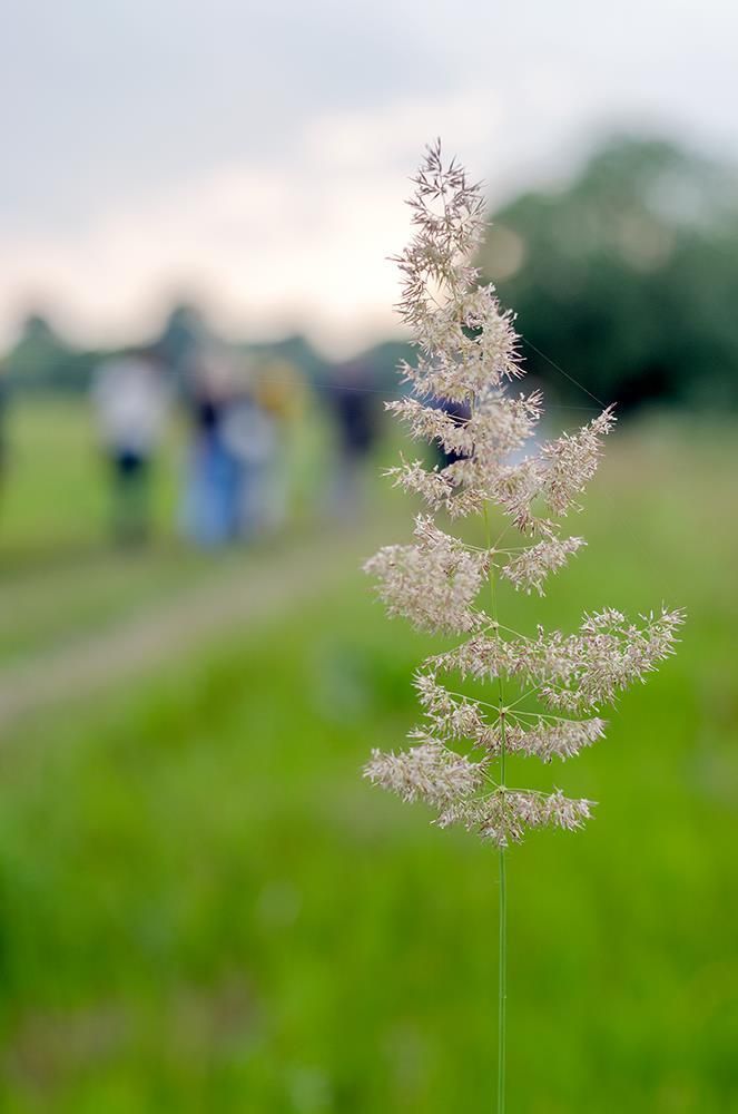 Возле тропинки