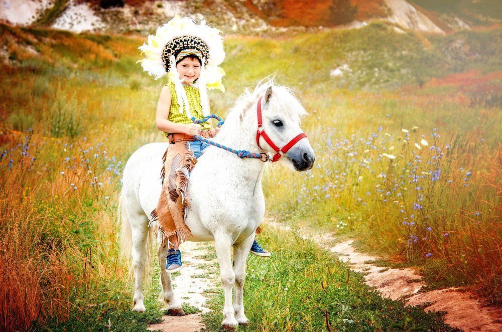 Индейская сага