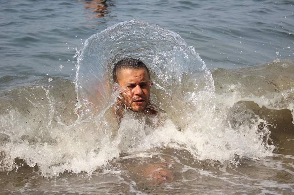 Paon