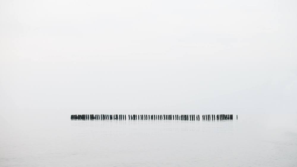 Минимализм в Донском // Minimalism in Donskoe