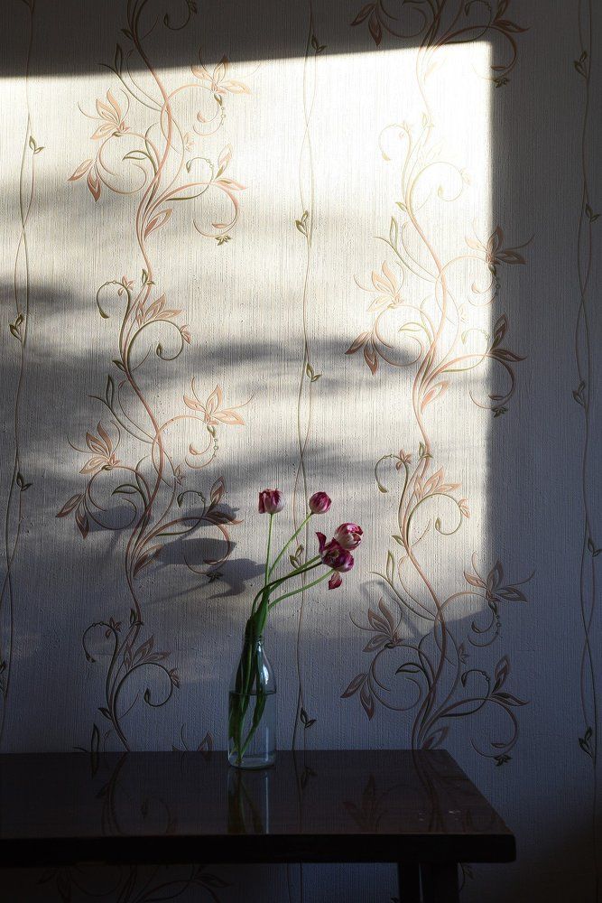 Photograph by Irina Konstantinova