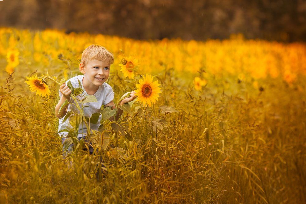 Море солнца