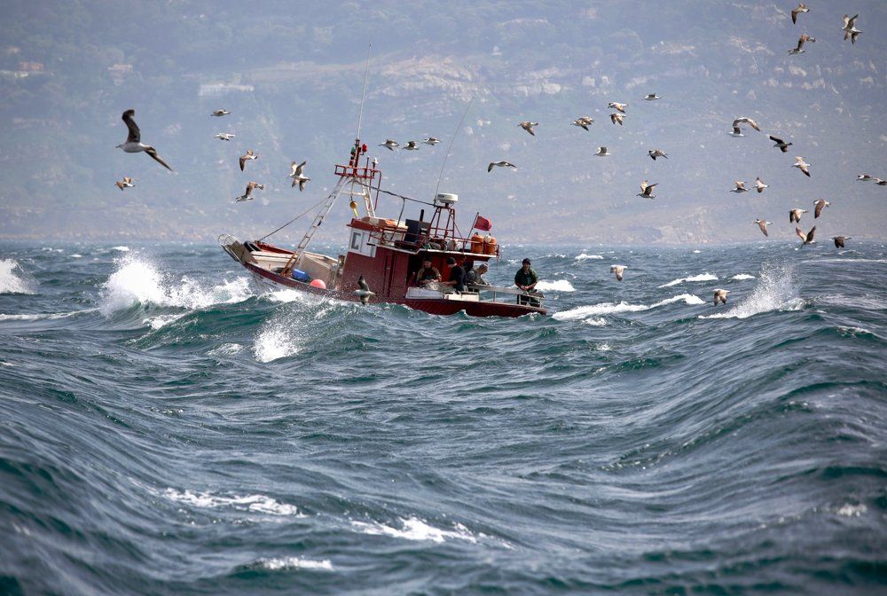 Рыбаки в Гибралтаре