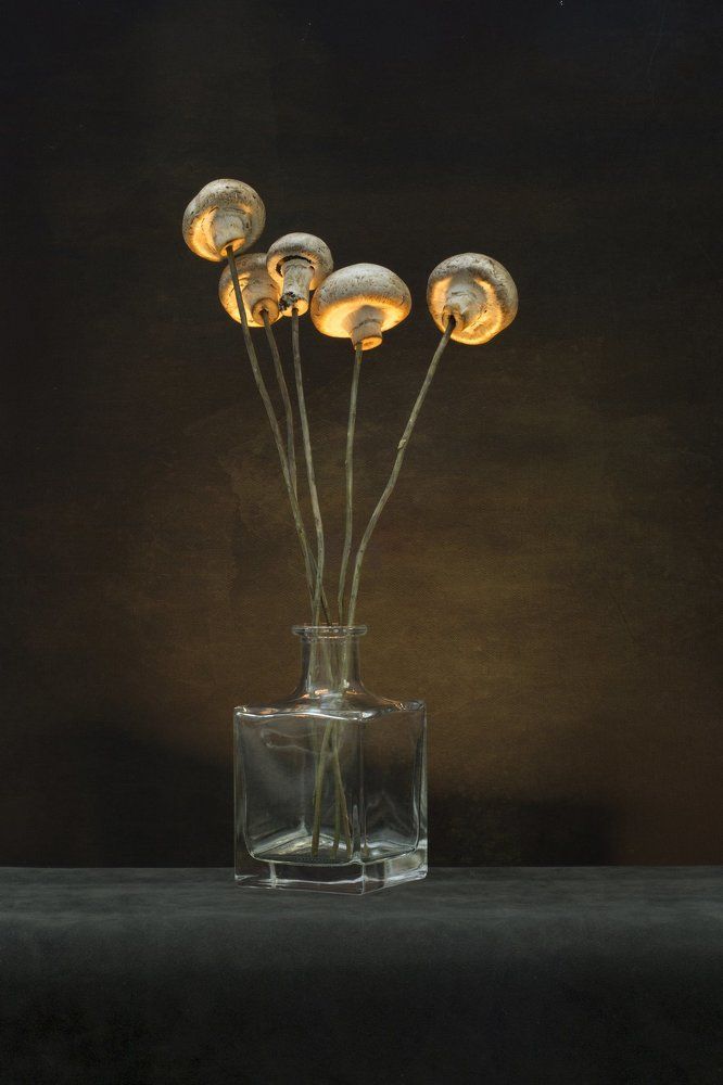 Букет грибов