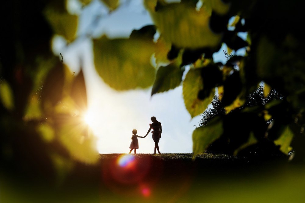 Photograph by Алексей Коза