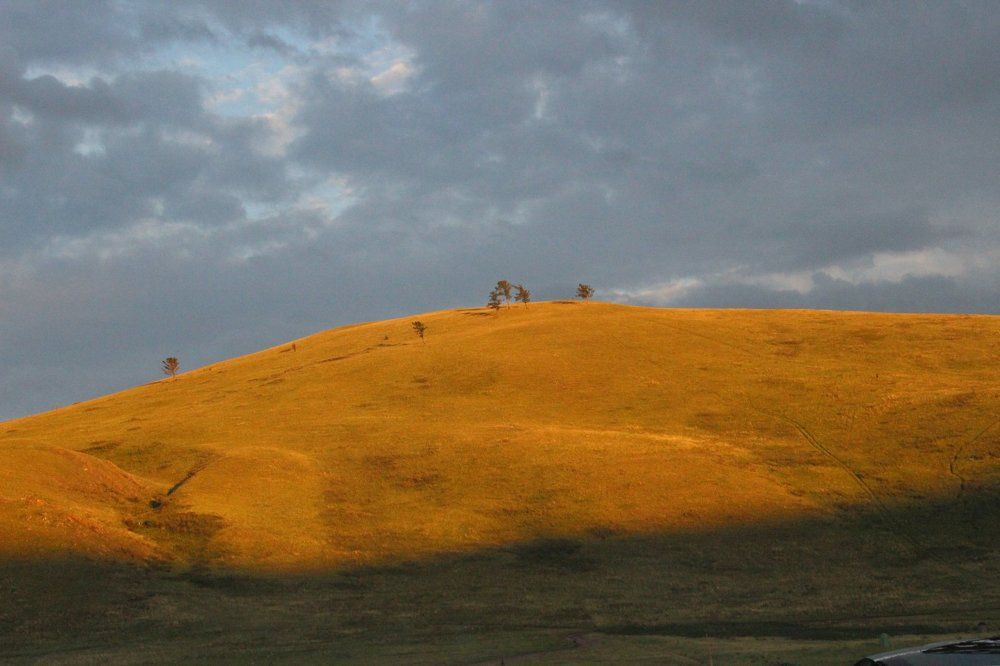 Игра света и тени