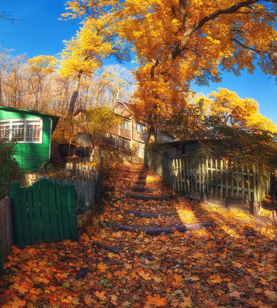 Золотая осень в Рыбачьем, г. Воронеж