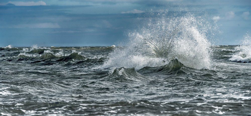 Морская калия