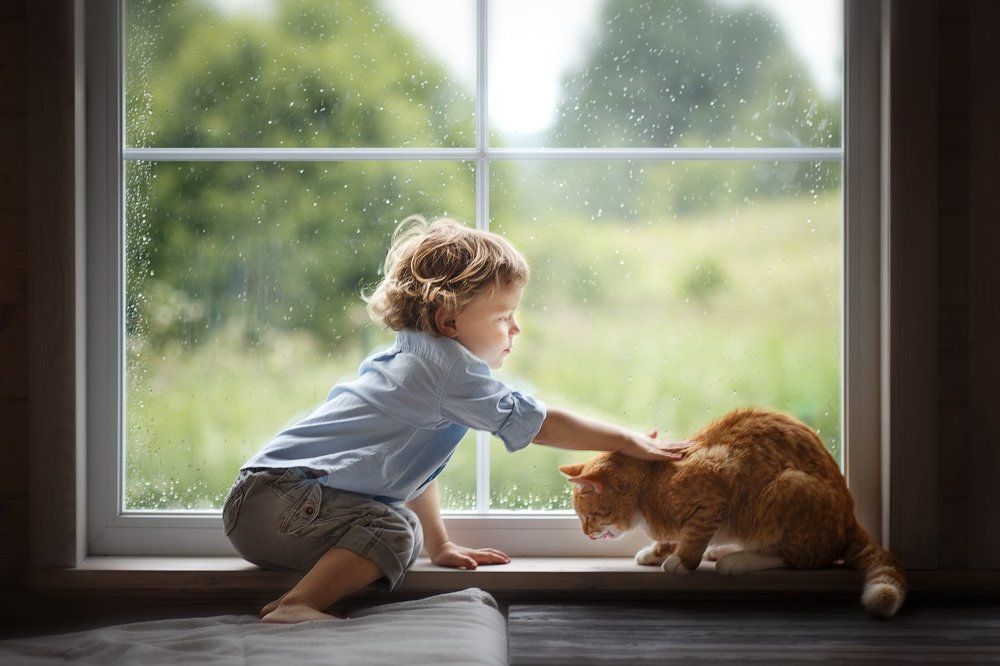 Photograph by Анна Родионова