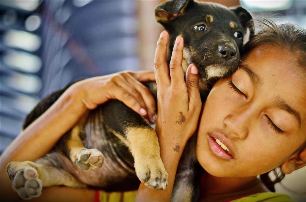 love for street puppy