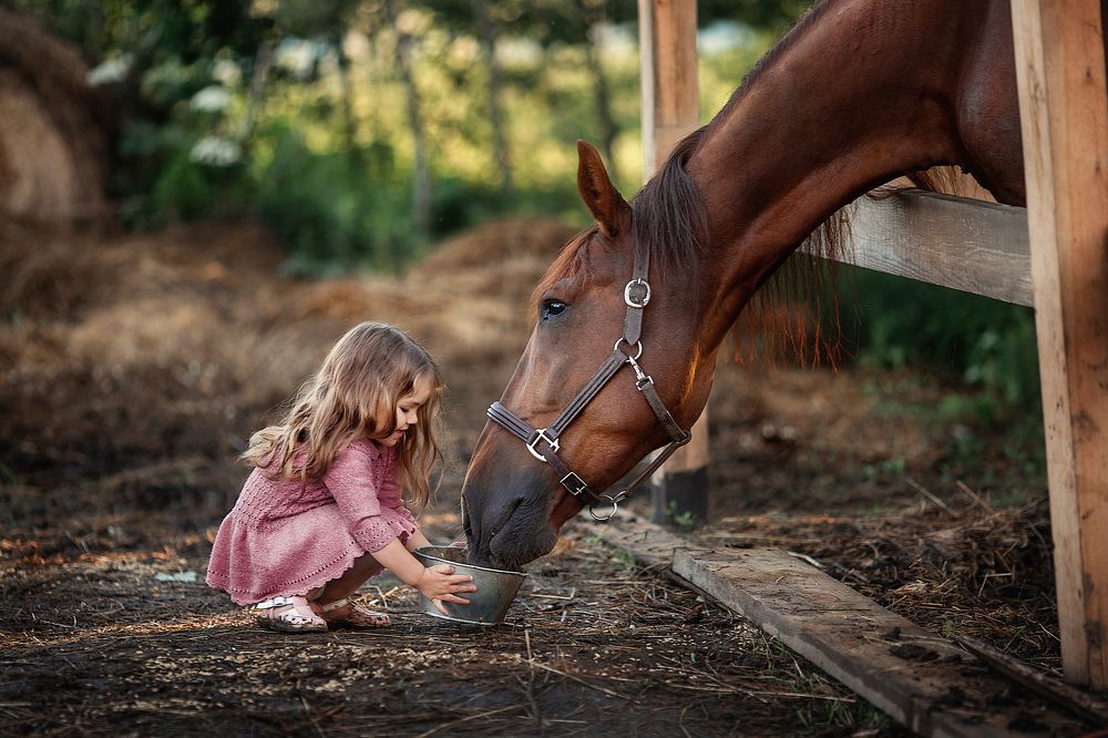 Photograph by Анна