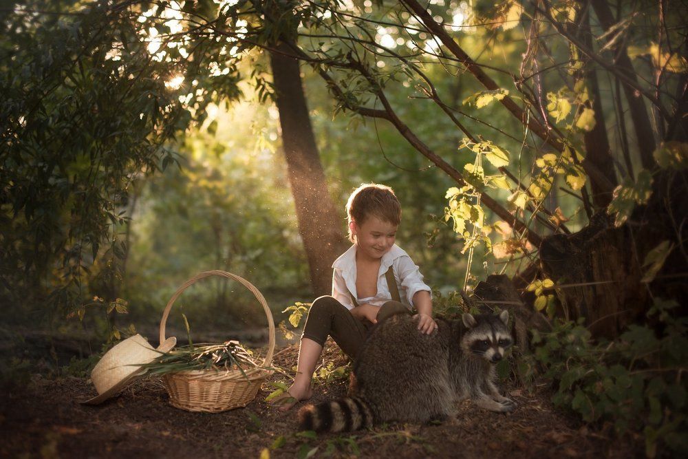 Крошка Енот