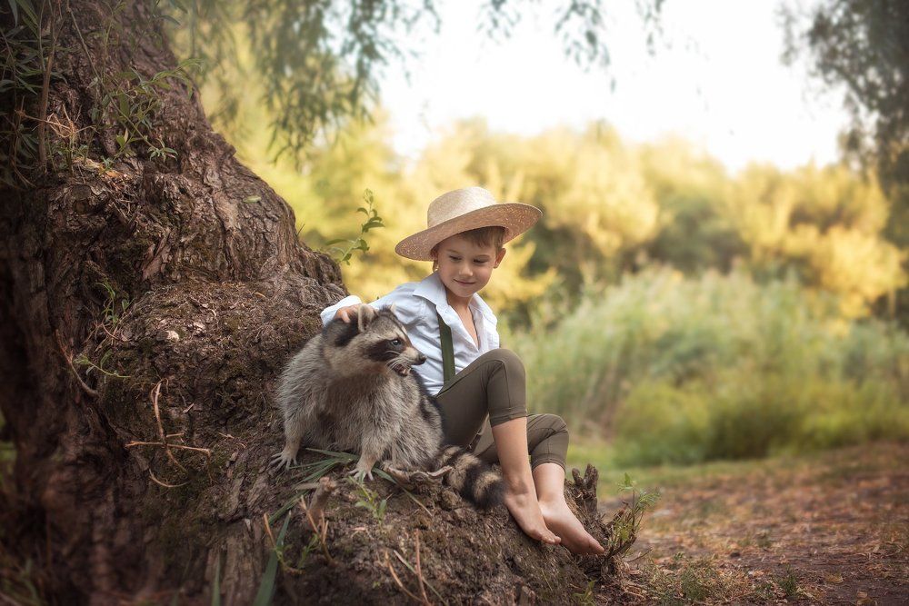 Мой верный дружок Крошка Енот