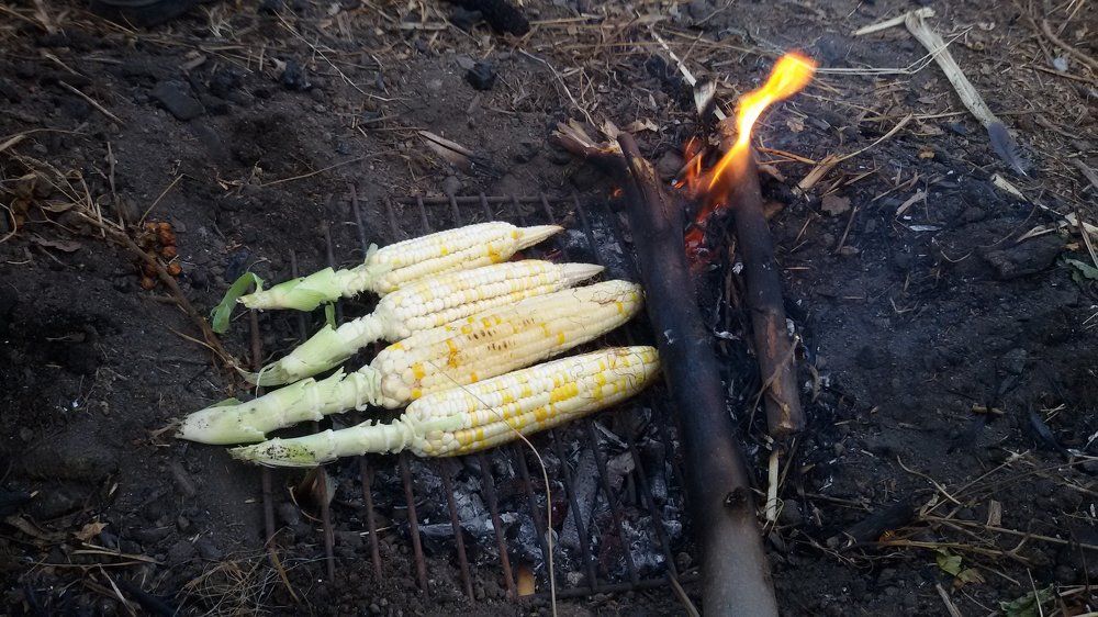 Grilled corn