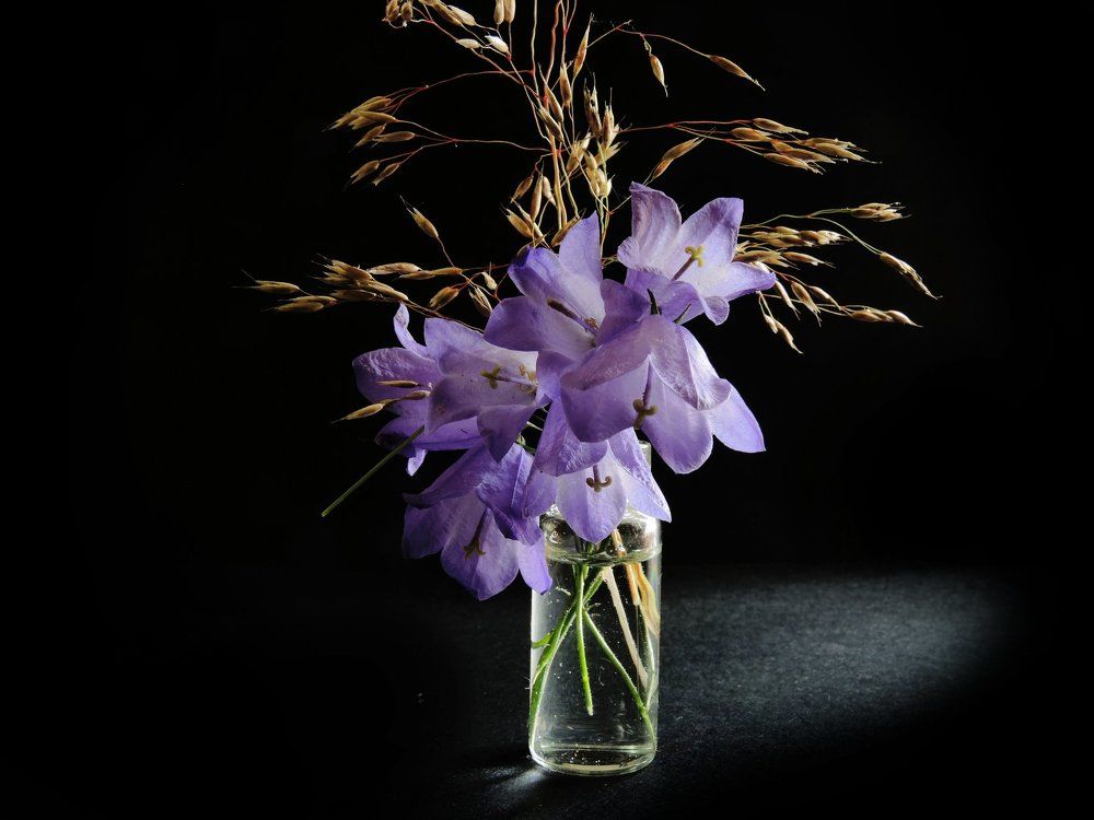 Макро-композиция с Колокольчиками.