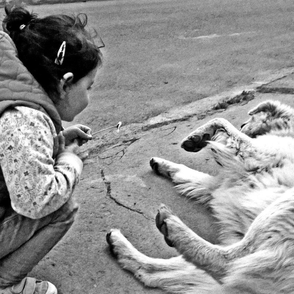 Girl&Dog