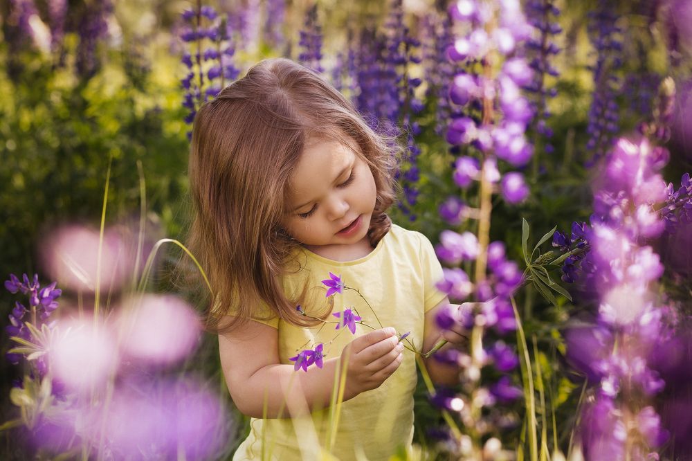 Прекрасное рядом