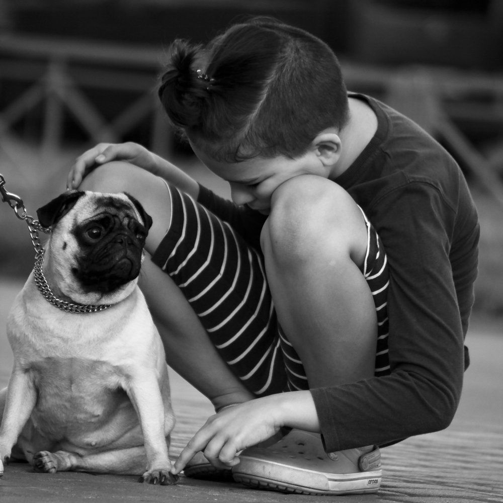 Давай дружить...