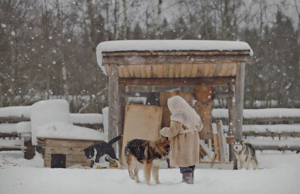 Утро.Встреча