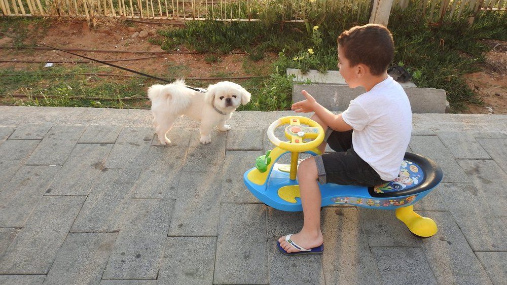 Знакомство