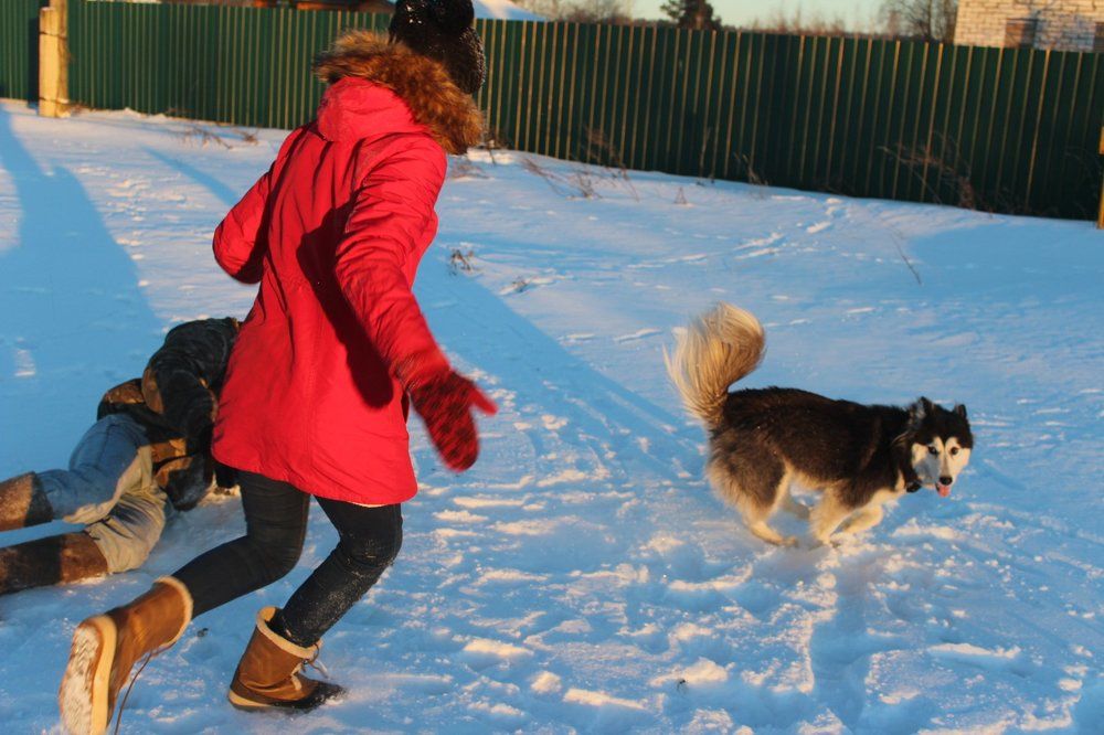 Поймай меня, если сможешь)