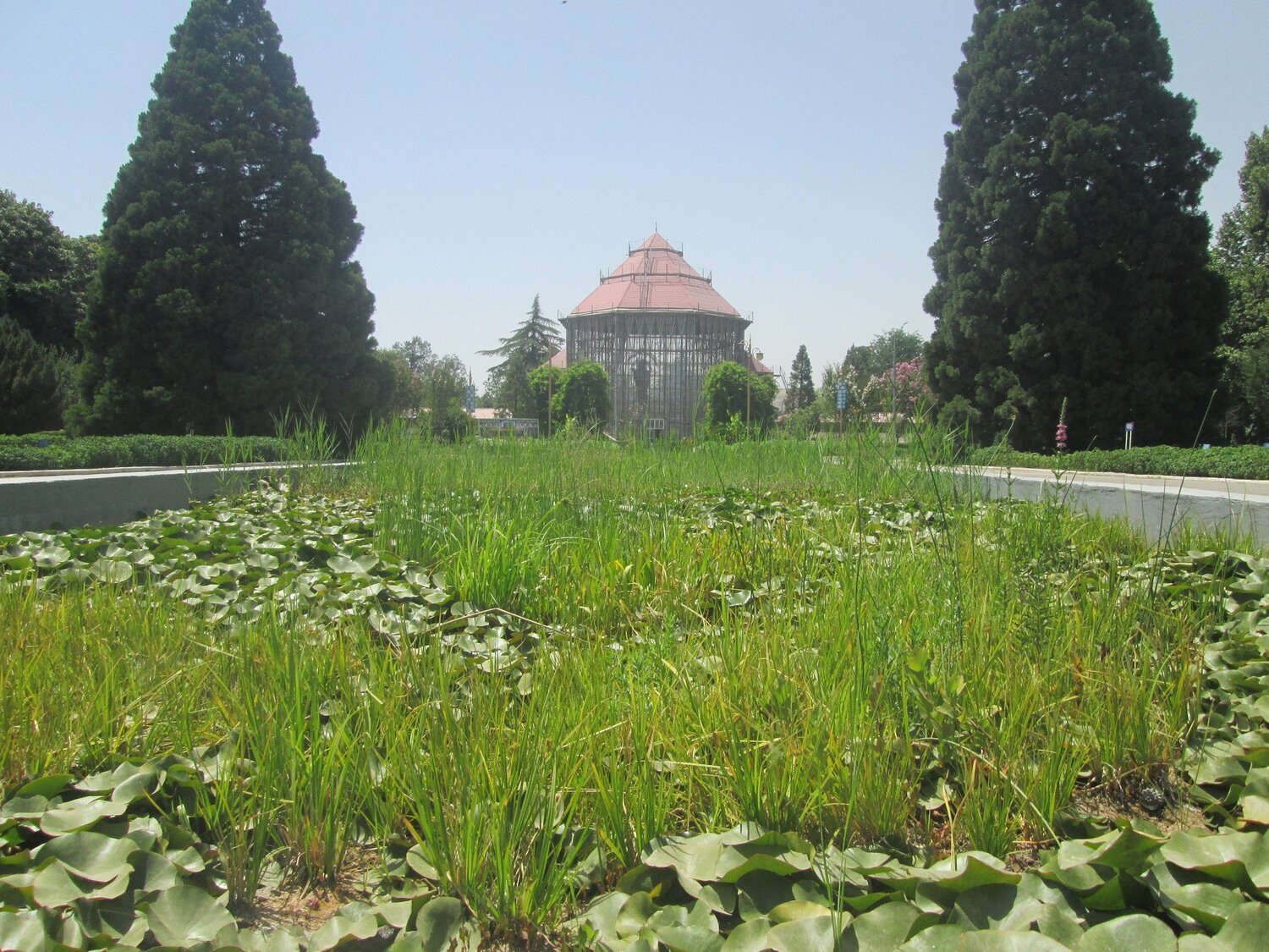 Ботанический парк