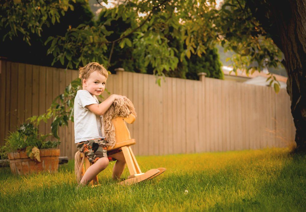 Rocking horse advanture