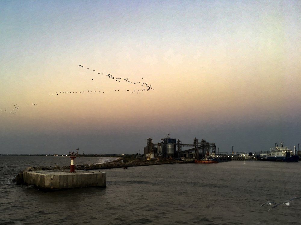 Дорога домой