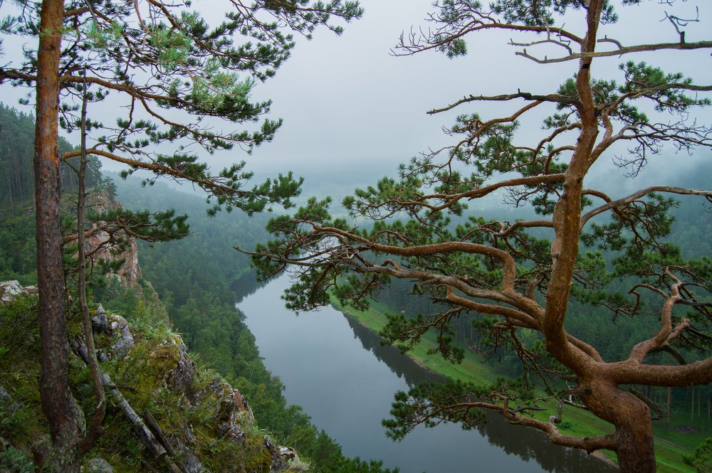 Photograph by Татьяна Боталова