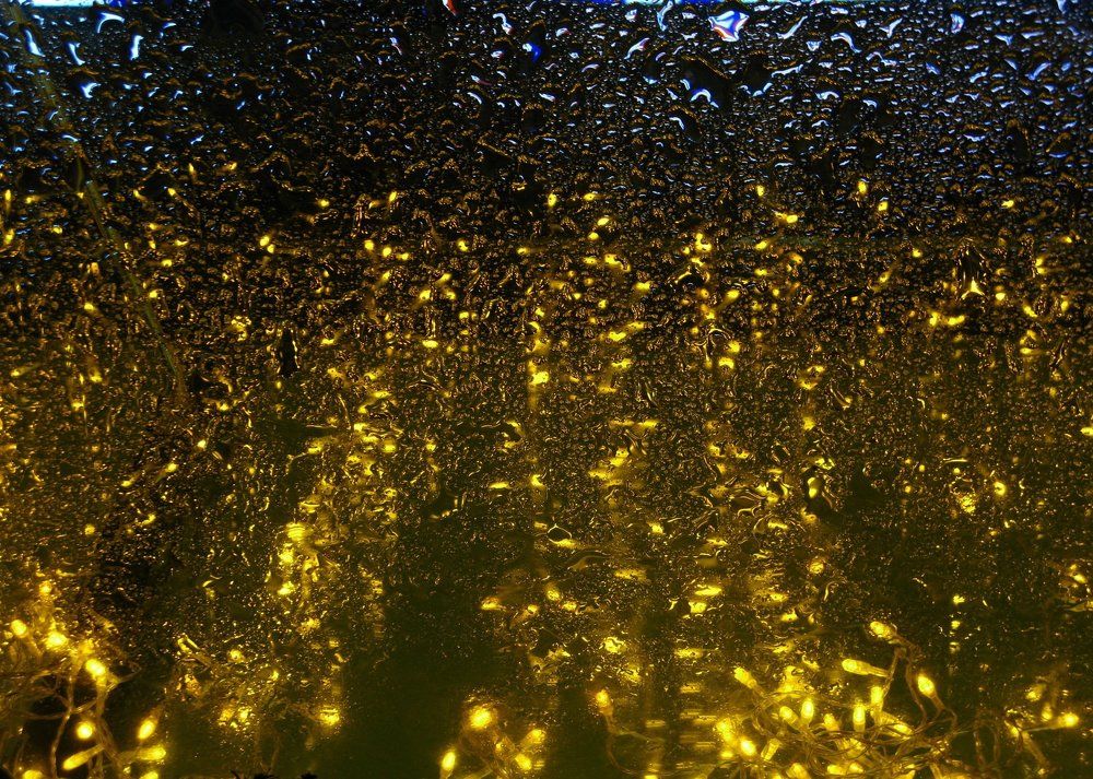 Капли жёлтого