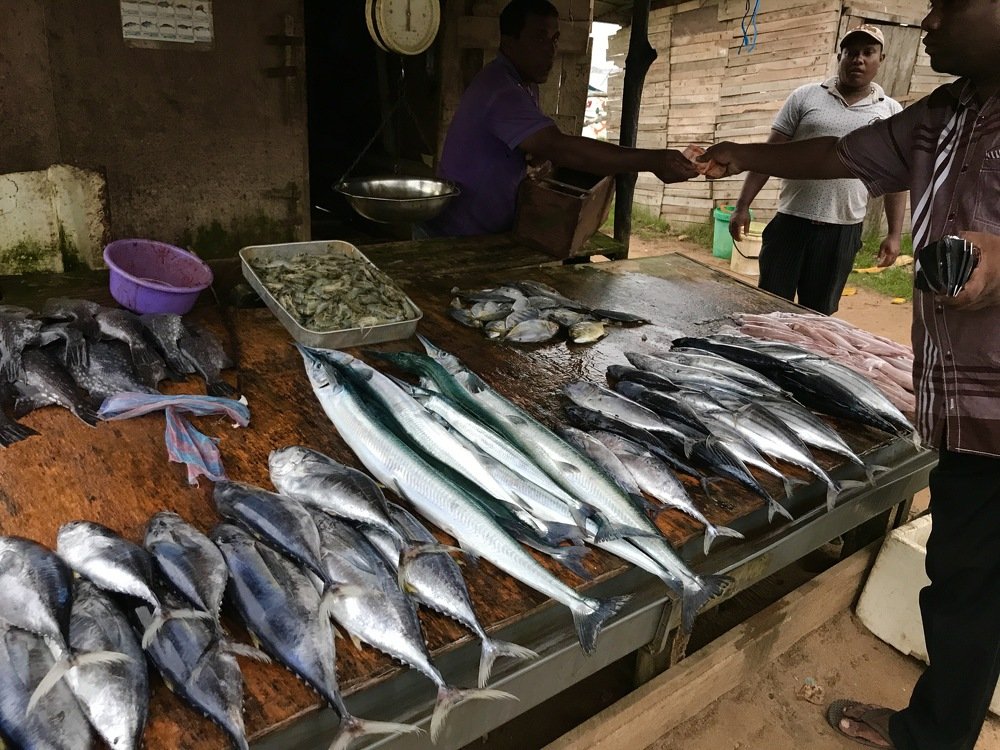 Рыбная лавка