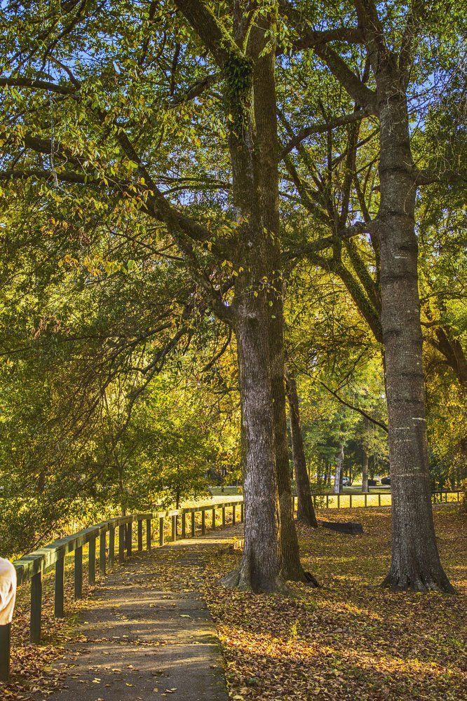 Walking the Path in HDR