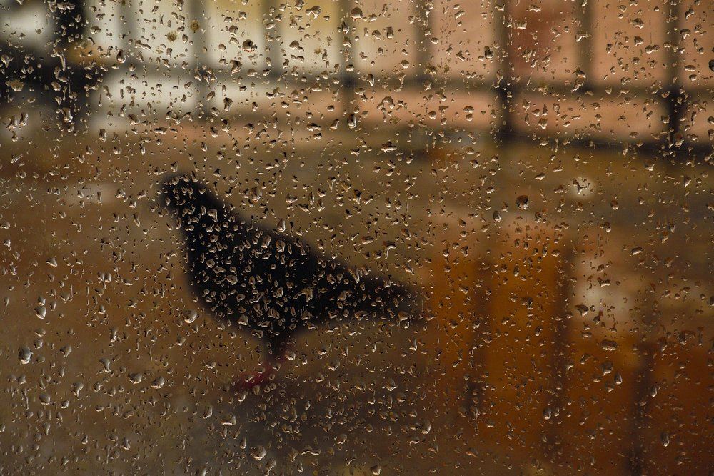 Photograph by Денис Духовник